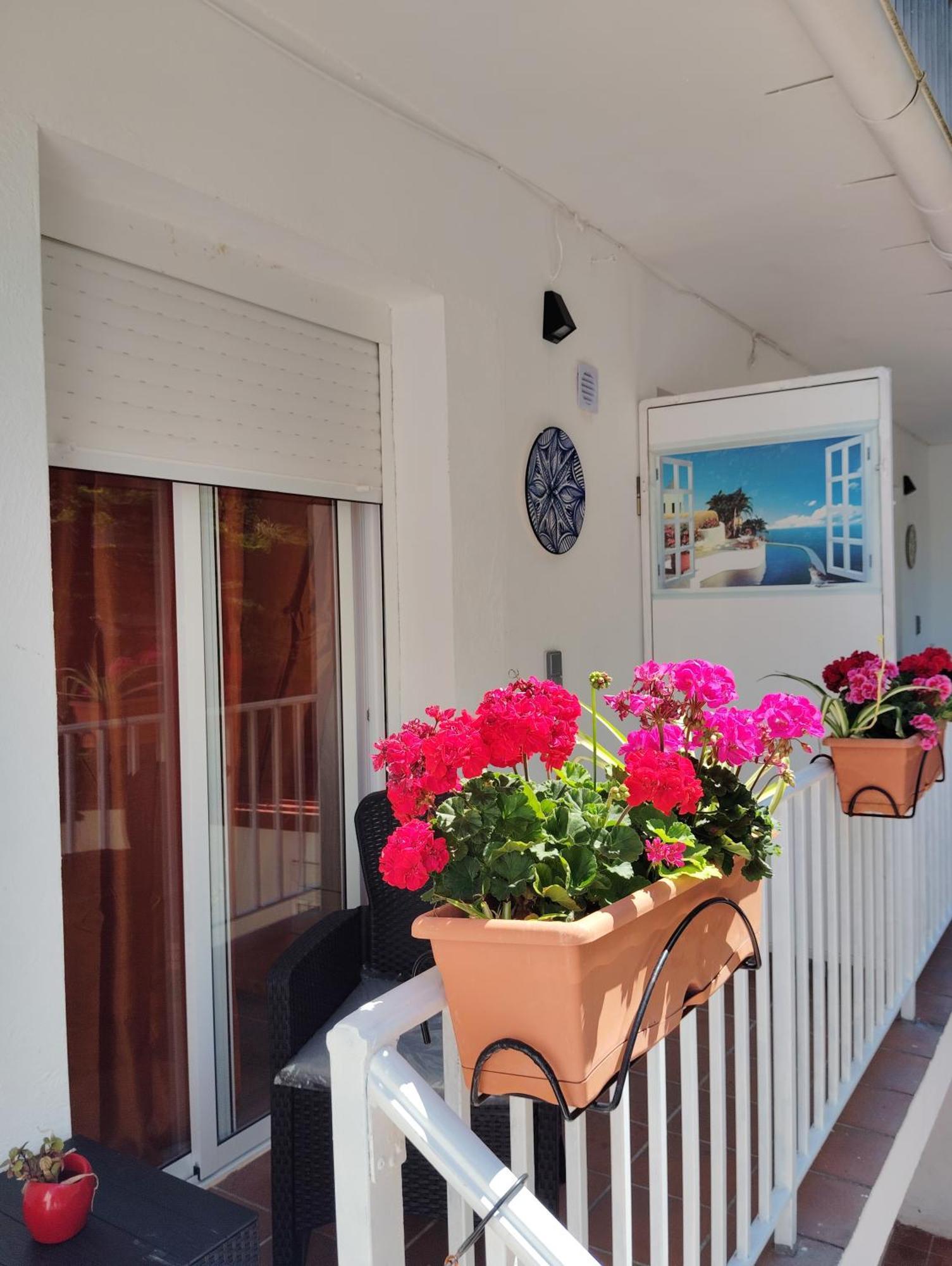 Apartamentos Nova De Abaixo 3 Pontevedra Dış mekan fotoğraf